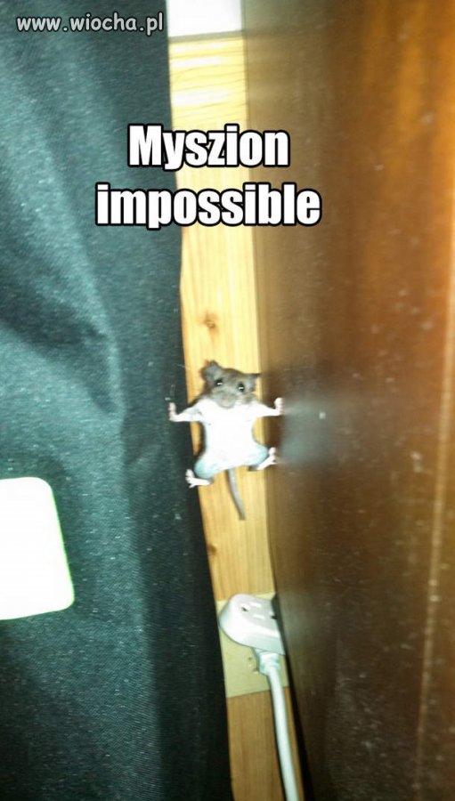 Myszion Impossible