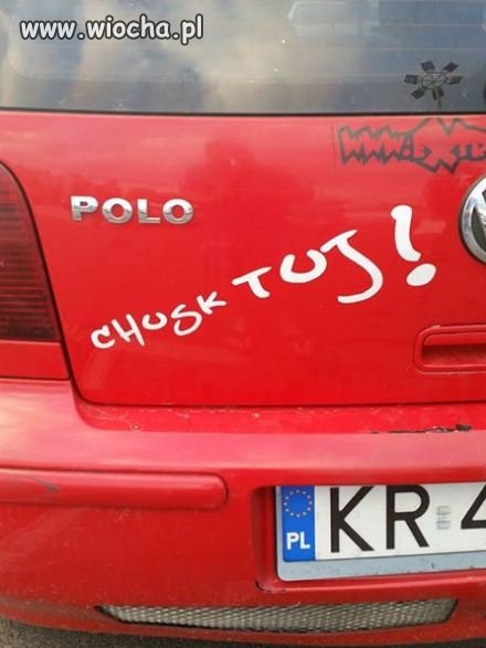 Taki rebusik na polówce z Krakowa