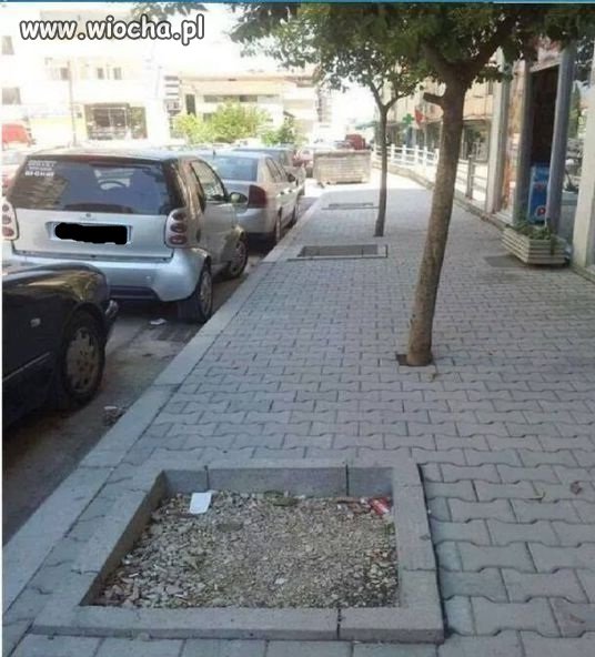 Planowanie i "działanie"