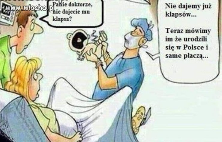 Zielona wyspa.