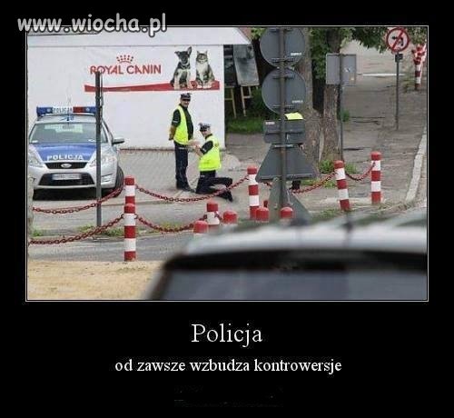 Jak myślicie, czego on tam szuka