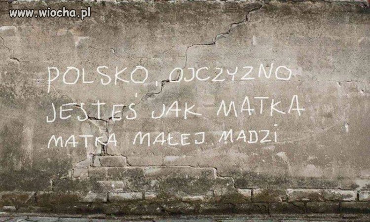 Chamska riposta.