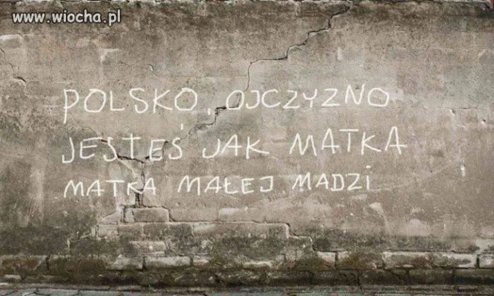Chamska riposta.
