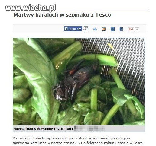 Karaluszek? Z Tesco?