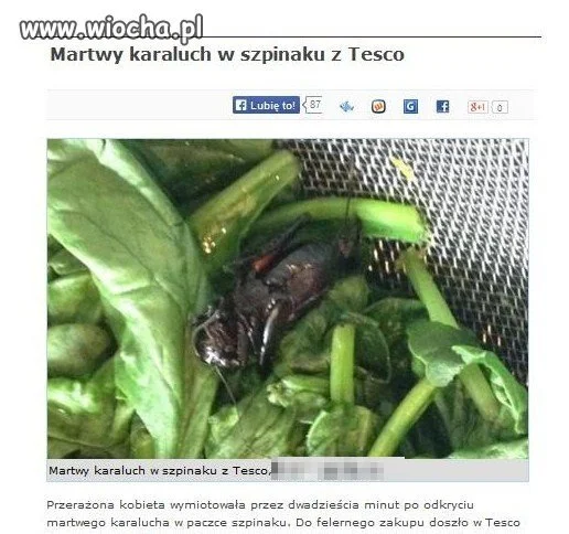 Karaluszek? Z Tesco?