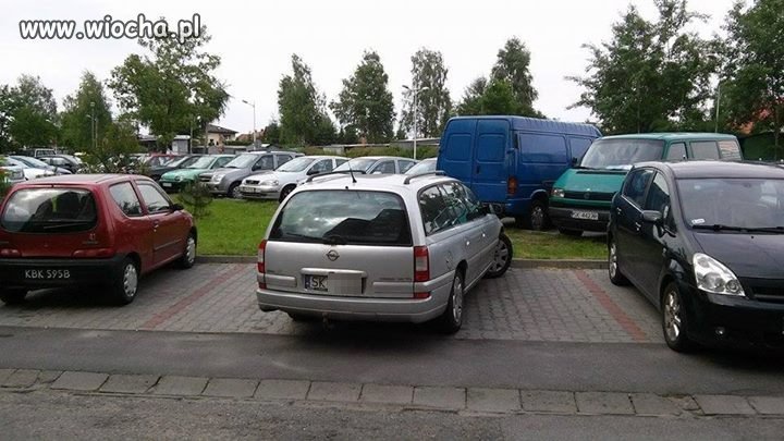 Mistrz parkowania