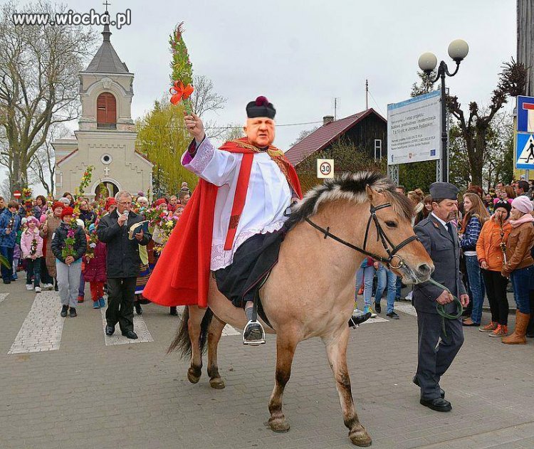 To już podchodzi pod znęcanie się nad zwierzętami!