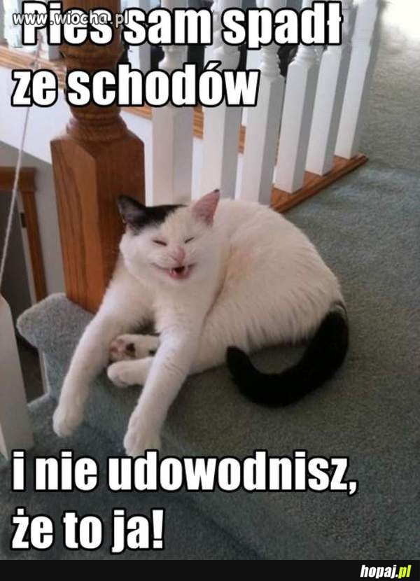 Mina tego sierścia...