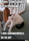 Mina tego sierścia...