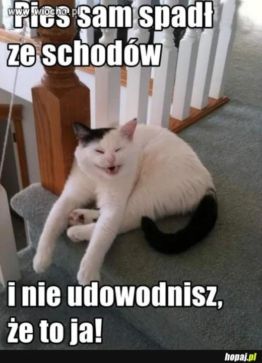Mina tego sierścia...