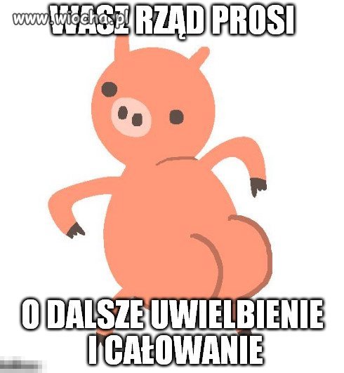 A oni to robią