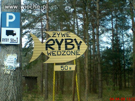 Żywe wędzone rybki