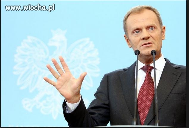 Potrzebuje pilnie pięć dywanów na godzinę 15.00