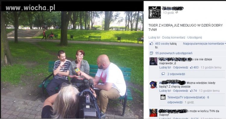 Tajger i Kobra będą w dzień dobry tvn 