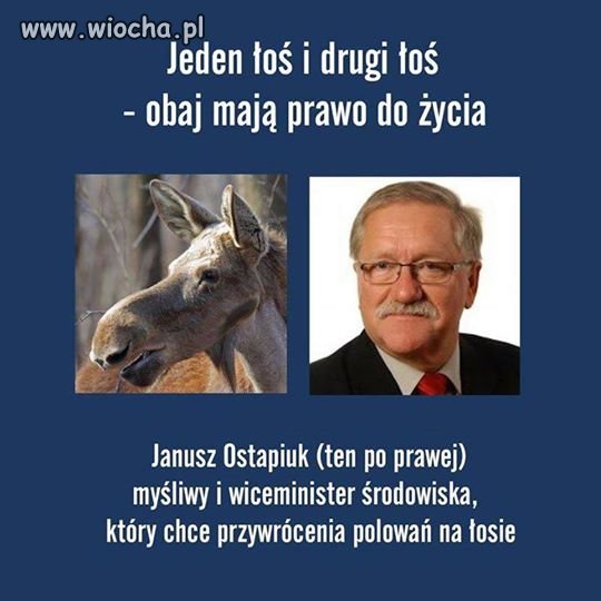 Dobre zestawienie