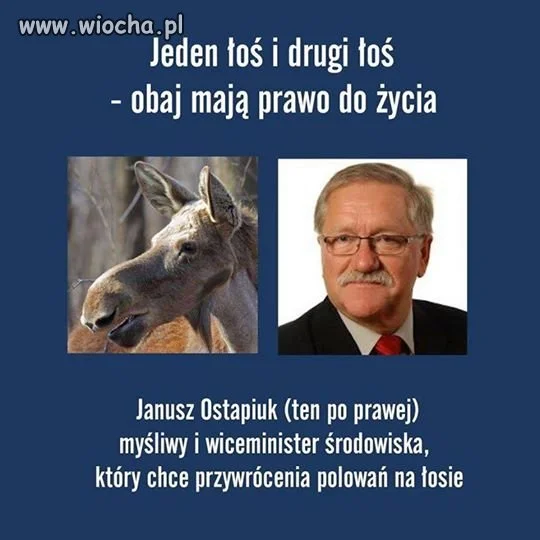 Dobre zestawienie