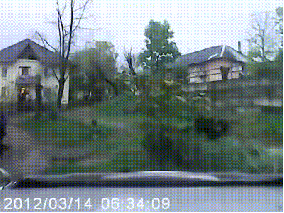 Rosja  polowanie na dzika z umywalka