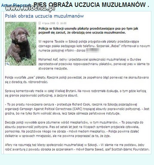 I znowu uczucia mniejszości...