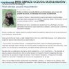 I znowu uczucia mniejszości...