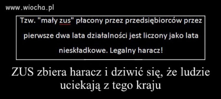 Wcale się nie dziwie 