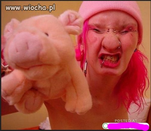 Dwie urocze różowe swinki