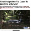 Nie wiem kto pisze te te artykuły,
