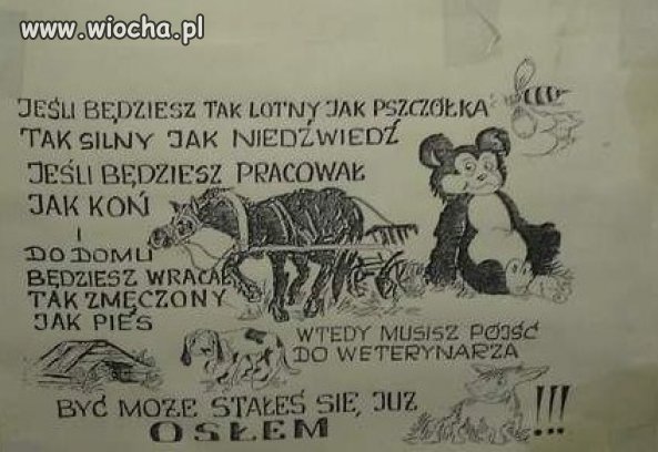 Podstawa to dobra motywacja do pracy