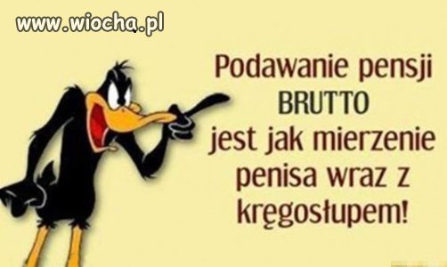 święta prawda 