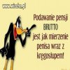święta prawda 