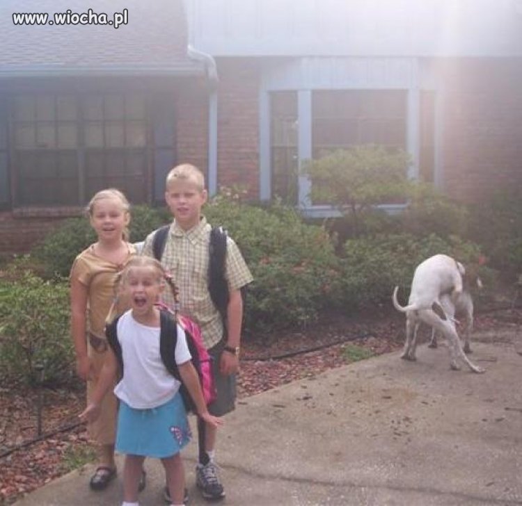 Scooby doo? 