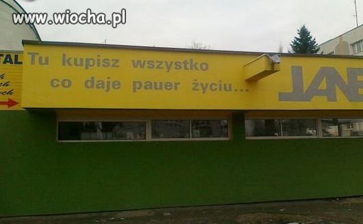 Chcecie"pauera"?
