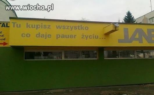 Chcecie"pauera"?