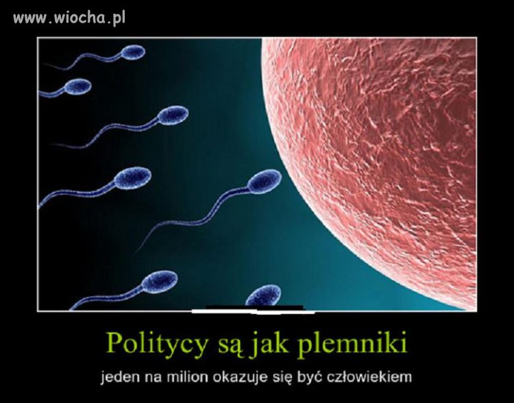 Politycy są jak plemniki...
