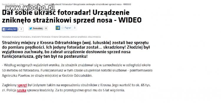 Stary niedźwiedź mocno śpi 
