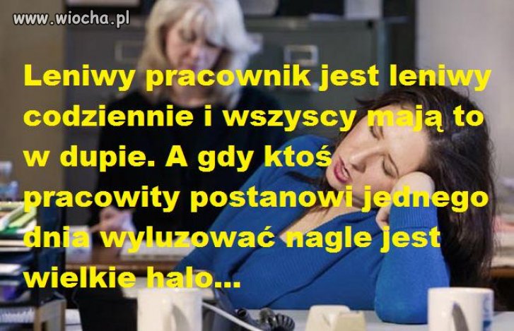 Leń ma zawsze lepiej