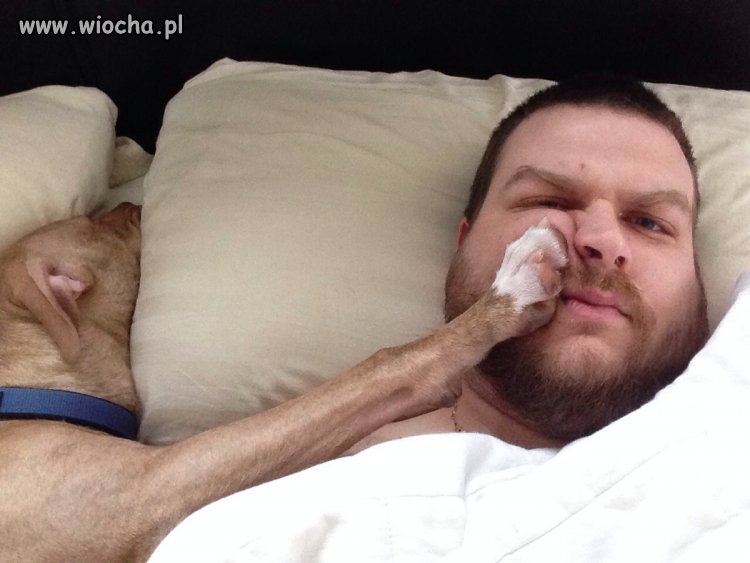 Właściciele psów dzielą się na dwie grupy