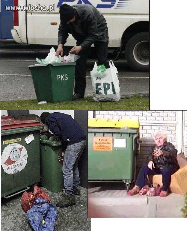 Polacy na zielonej wyspie.