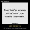Cała prawda o Tusku 