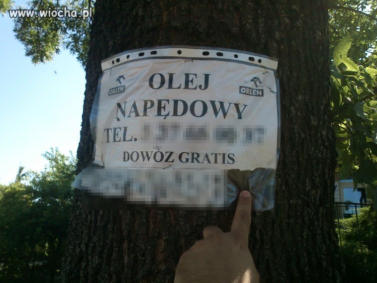 Orlen