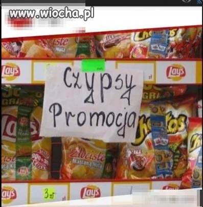 Czy psy? 