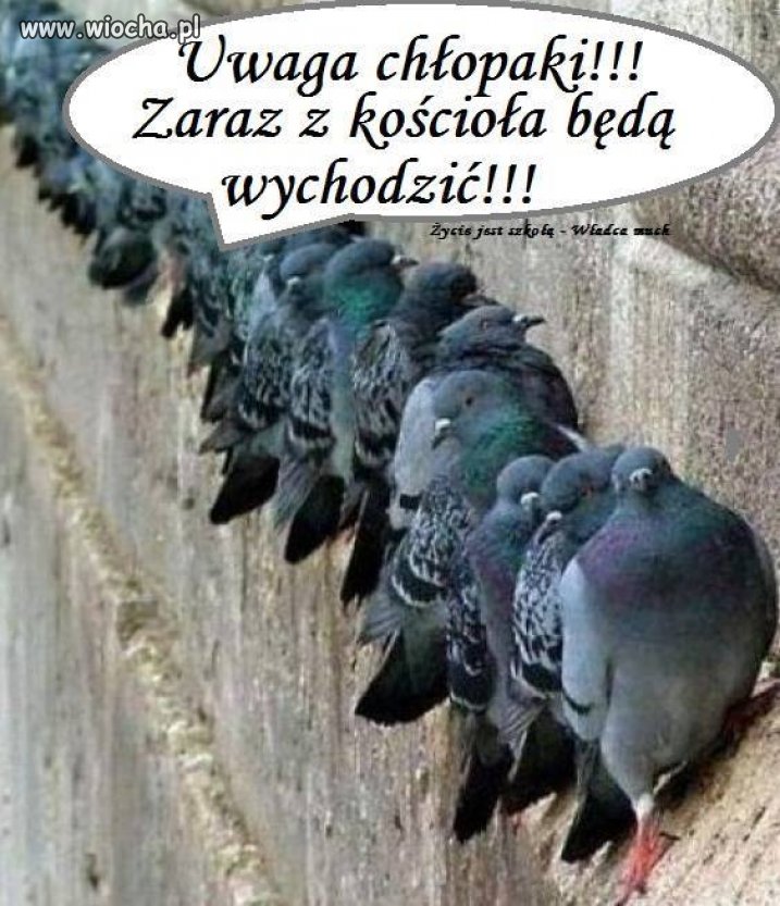 Śmieszna wiocha. 