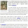 Absurd absurdów ZUS-u.