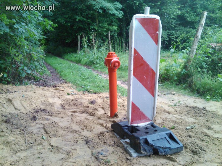 Mój kraj, taki piękny...