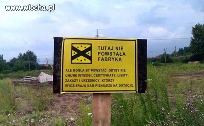 Unijne: Wymogi, certyfikaty, limity, zakazy, 