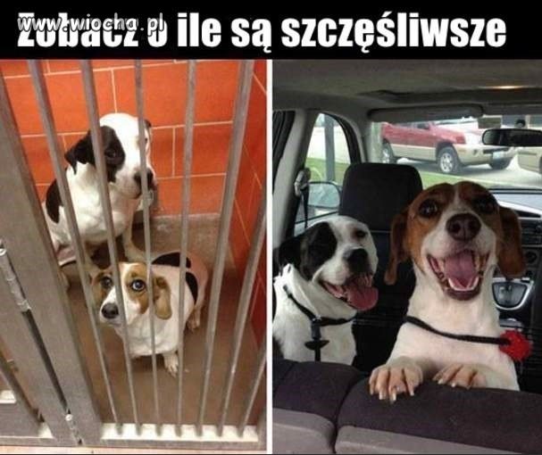 I co? Można?