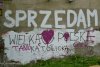  myślałem,że ONR