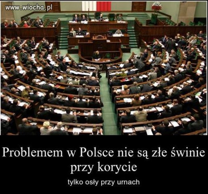 Sami ich wybieramy...