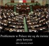 Sami ich wybieramy...