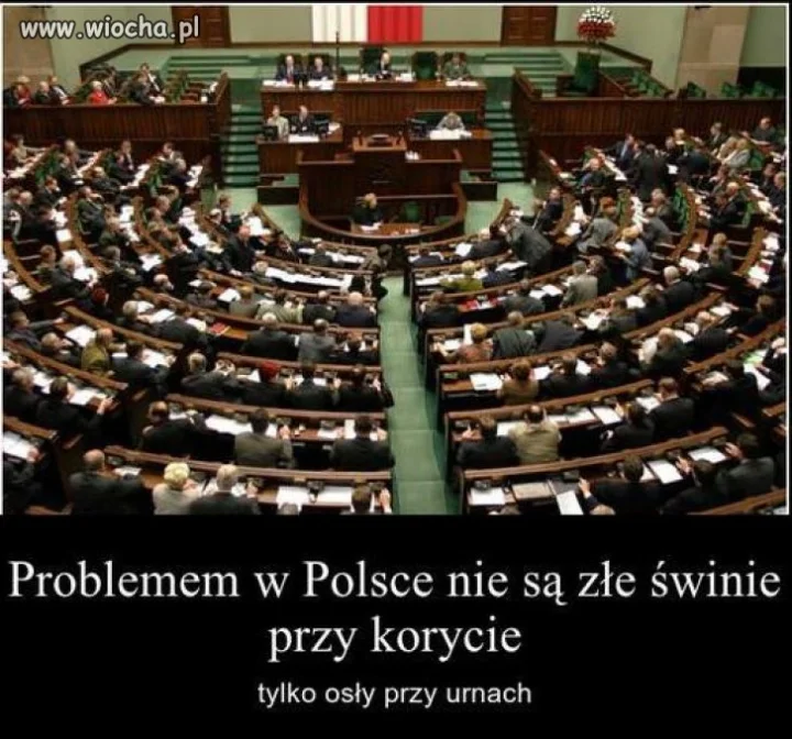 Sami ich wybieramy...