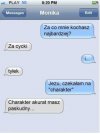 Mistrz cietej riposty 